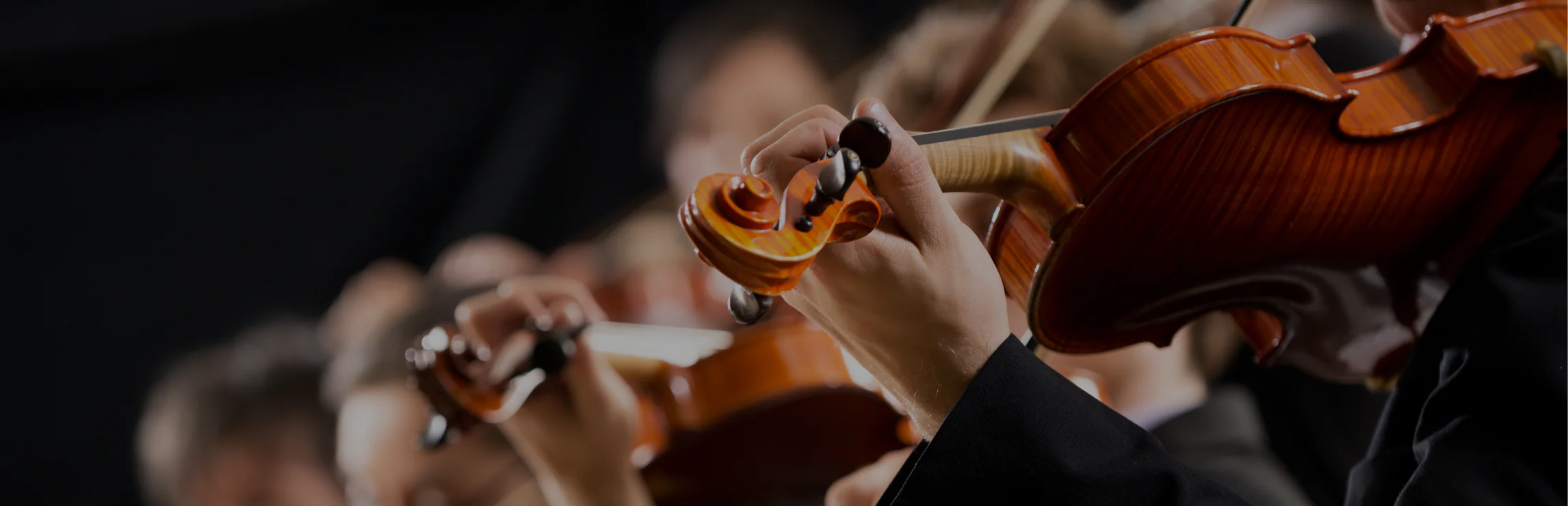 Mastery in Every String